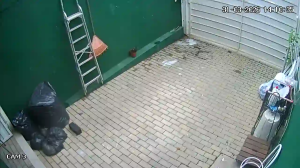 Caméra IP - Brasilien