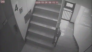 Caméra IP - Corea del Sud