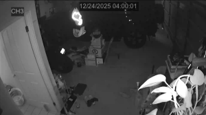 Caméra IP - Australia