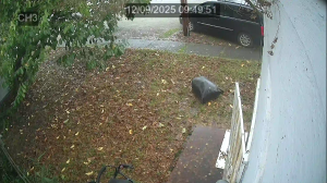 Caméra IP - Vereinigte Staaten von Amerika