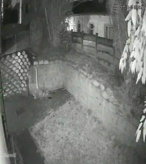 Caméra IP - Sudáfrica