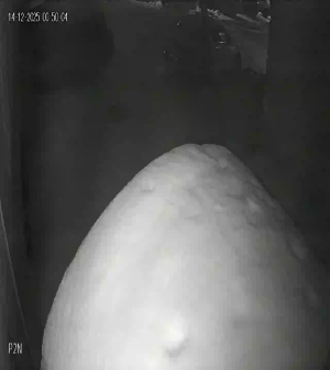 Caméra IP - Kazakhstan