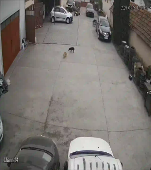 Caméra IP - Hungary