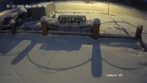 Caméra IP - Russische Föderation