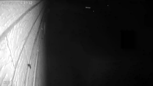 Caméra IP - Royaume-Uni