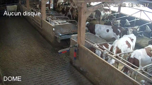 Caméra IP - Frankreich