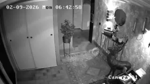 Caméra IP - Schweden