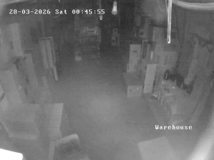 Caméra IP - Georgia