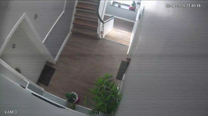 Caméra IP - Germany