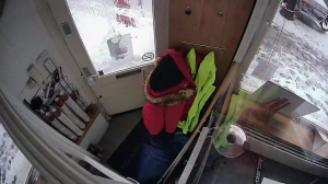 Caméra IP - Pays-Bas