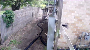 Caméra IP - Estados Unidos