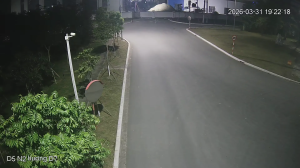 Caméra IP - Vietnam