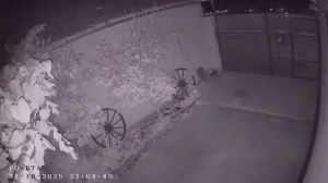 Caméra IP - Rumänien