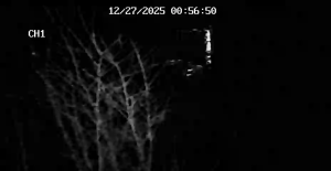 Caméra IP - United States of America