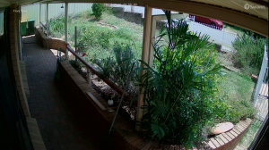 Caméra IP - Neuseeland