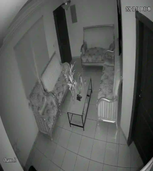 Caméra IP - Saudi Arabia