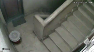 Caméra IP - Egitto