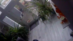 Caméra IP - États-Unis d'Amérique