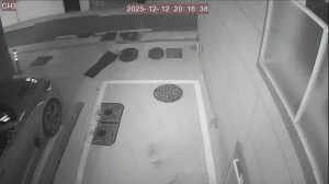 Caméra IP - Corée du Sud