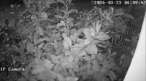 Caméra IP - Argentina