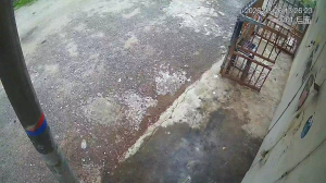 Caméra IP - Malaisie