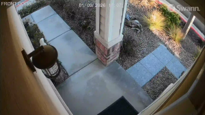 Caméra IP - Vereinigte Staaten von Amerika