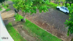 Caméra IP - Brasile