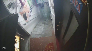 Caméra IP - Afrique du Sud