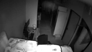 Caméra IP - United States of America