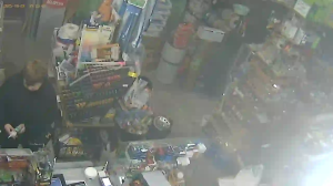 Caméra IP - Georgia