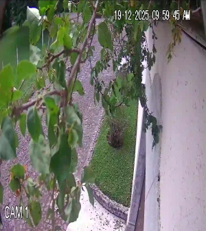 Caméra IP - Guatemala