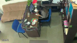 Caméra IP - Bolivia