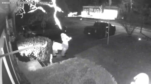 Caméra IP - États-Unis d'Amérique