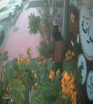 Caméra IP - Arabia Saudita