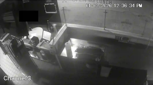 Caméra IP - United States of America