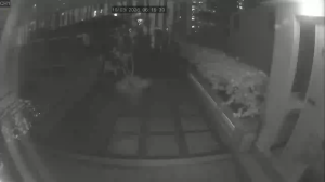 Caméra IP - Singapore