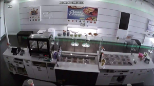 Caméra IP - Stati Uniti d'America