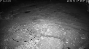 Caméra IP - España