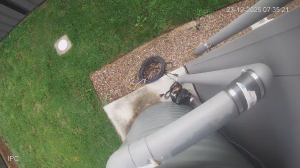 Caméra IP - Australien