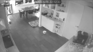 Caméra IP - Denmark