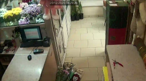 Caméra IP - Russian Federation