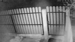 Caméra IP - Hungría