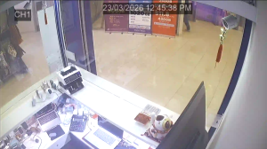 Caméra IP - Singapore