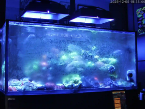 Caméra IP - Singapore