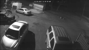 Caméra IP - Stati Uniti d'America