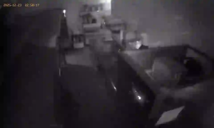 Caméra IP - Ucrania