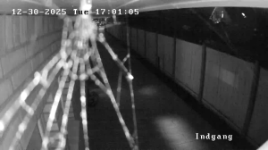 Caméra IP - Denmark