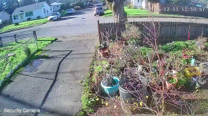 Caméra IP - Estados Unidos