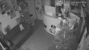 Caméra IP - Romania