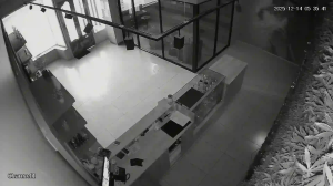 Caméra IP - Vue en direct